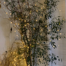 Load image into Gallery viewer, Christmas wreath workshops