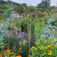 Load image into Gallery viewer, Pick your own flowers