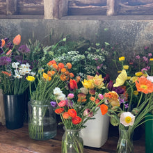 Load image into Gallery viewer, Workshops