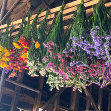 Load image into Gallery viewer, Workshops