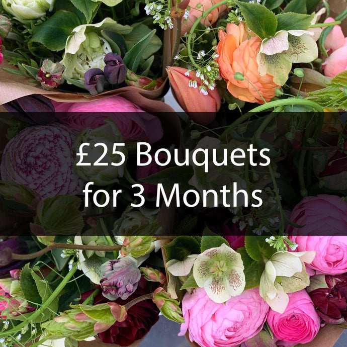 £25 Bouquets for 3 Months